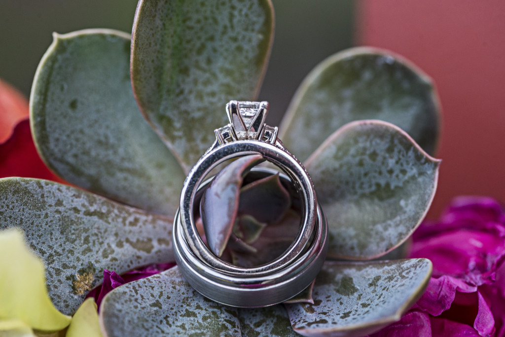 Bride and grooms rings are laying on a succulent plant