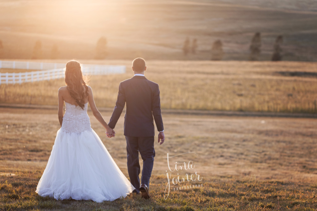 Bride and groom walk away holding hands in a field at sunset