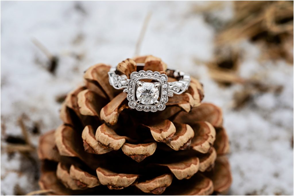 Stunning details of an intricate engagement ring sitting on a pinecone in the snow