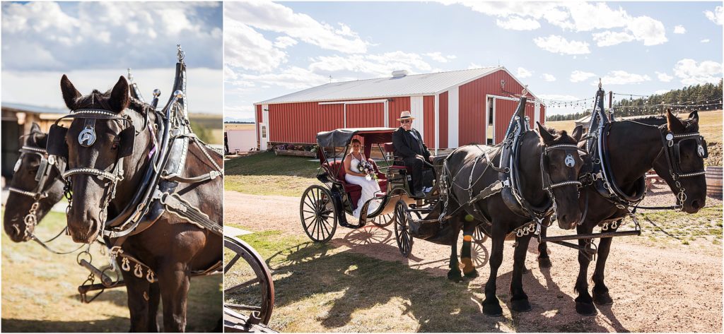Lori rides in a horse drawn carriage from the bridal cottage to her wedding ceremony at ranch wedding