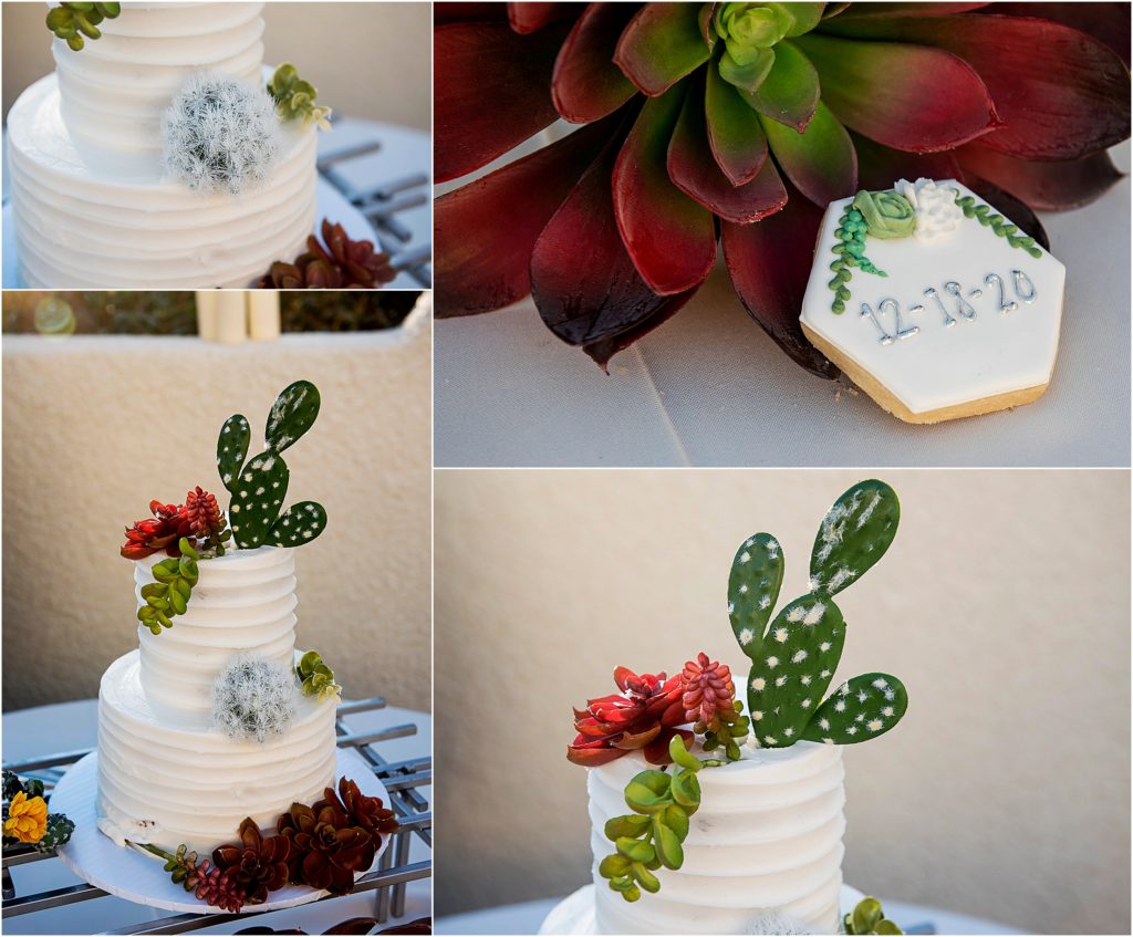 wedding cake with cactuses and succulents on it